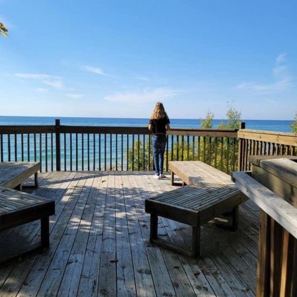 Meet your Posher, Carrigan - Picture 1 of 1